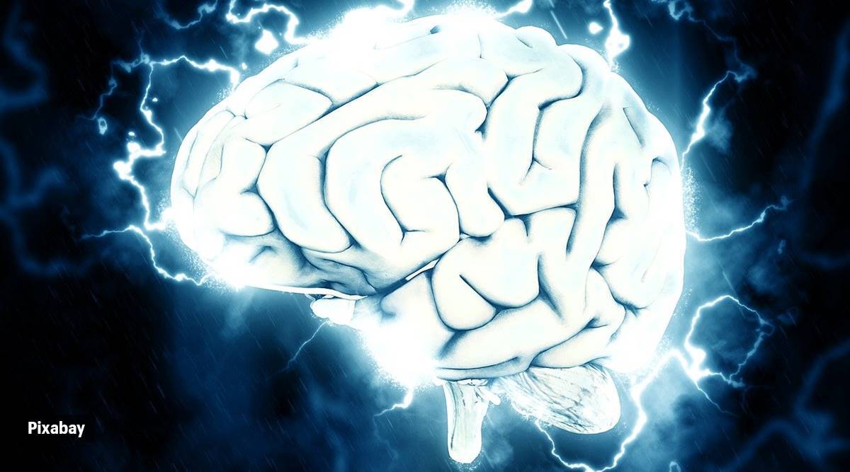 brain functioning