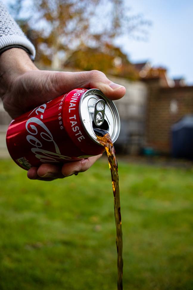 Even carbonated drinks like Coca-Cola contain caffeine. Credit: Pexels/Scott Spedding